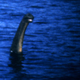 Illustration for article titled The very weirdest theories about the Loch Ness Monster